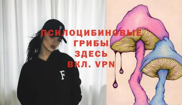 Альфа ПВП Надым