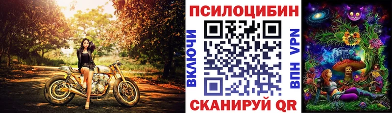 Псилоцибиновые грибы мухоморы  OMG маркетплейс  Донской 