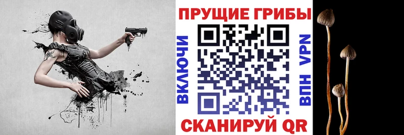 Псилоцибиновые грибы ЛСД Донской