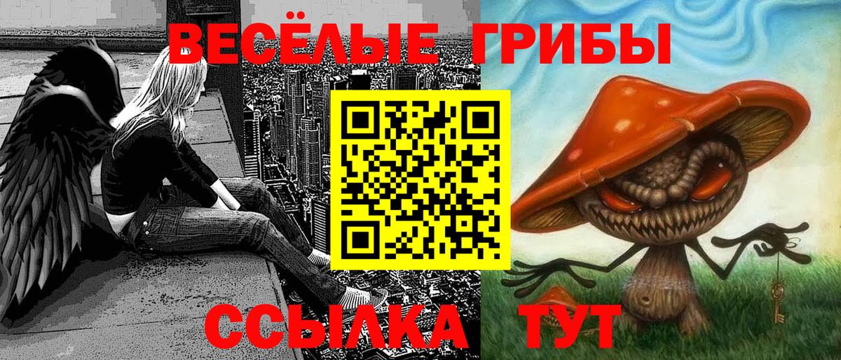 Донской  ТГК  Мефедрон   ГЕРОИН  Метадон  Где купить наркотики?  Марихуана  Канабис  Кодеин  Гашиш 