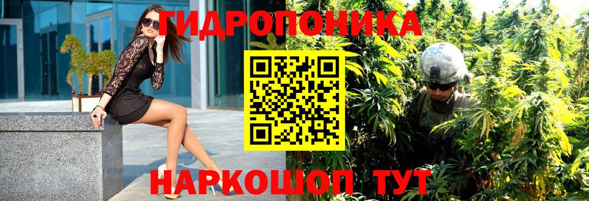 Каннабис Amnesia Донской